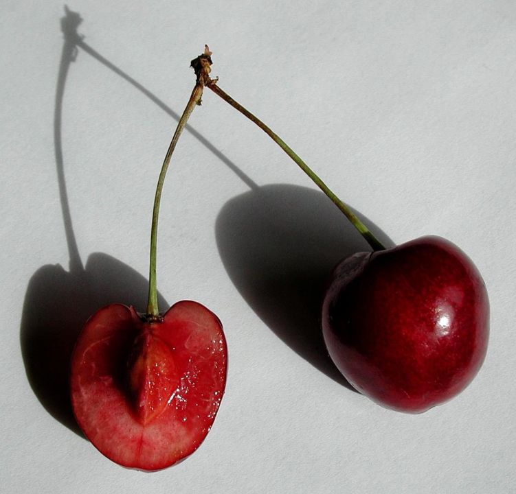 Querschnitt einer Kirsche