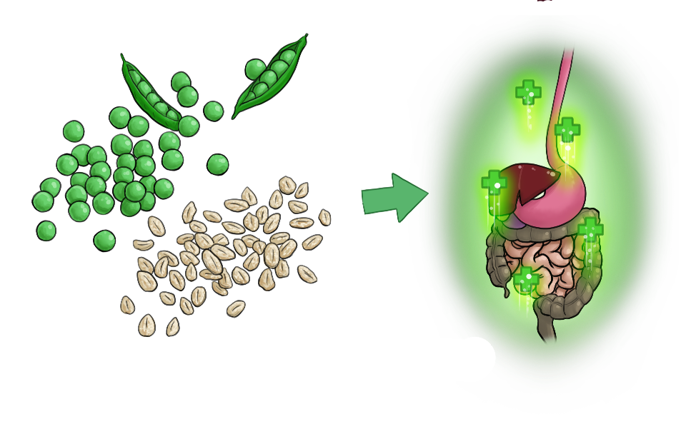 Ballaststoffe in Erbsen und Haferflocken sind gut für die Verdauung.