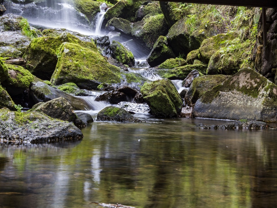 Gebirgsbach mit kaltem, sauerstoffreichem Wasser