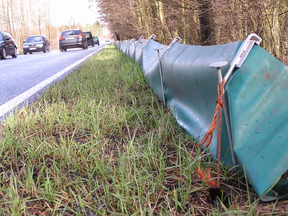 Ein Amphibienzaun entlang einer viel befahrenen Straße