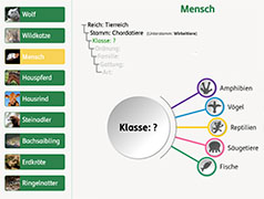 Popup: Systematik der Tiere