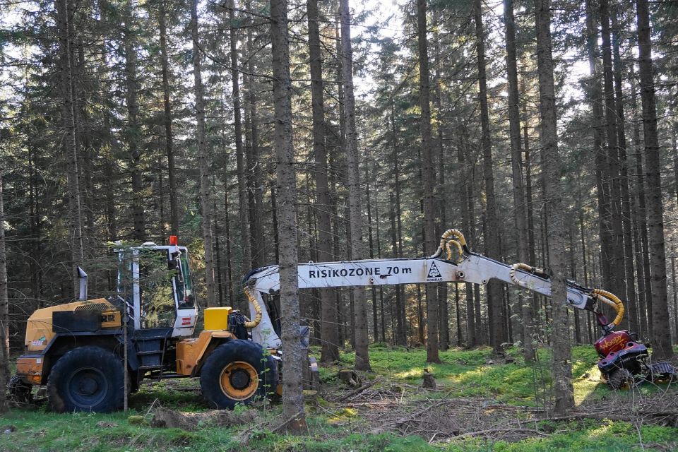 Schlägerung in der Forstwirtschaft, Bezirk Wolfsberg, Kärnten, Österreich