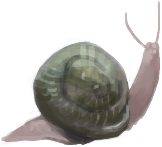 Schnecke