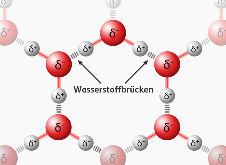 Wasserstoffbrücken aufgrund der starken Wechselwirkungen zwischen Wassermolekülen