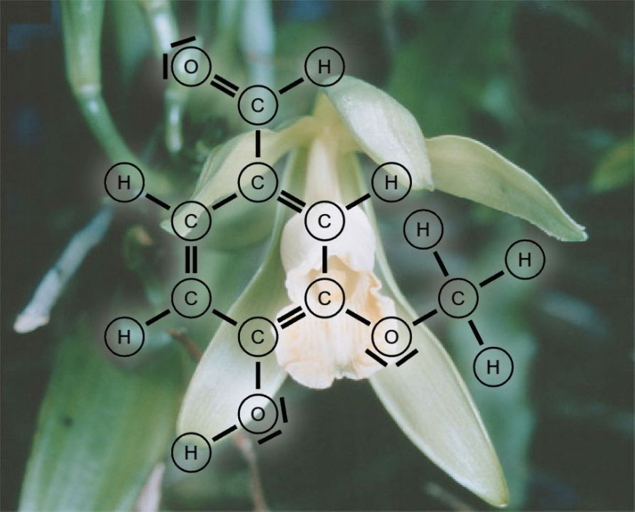 Strukturformel Vanillin