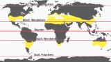 Subtropische Zone