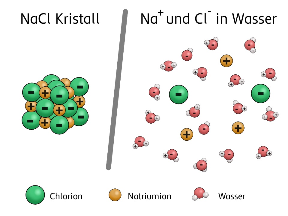 Speisesalzkristallgitter und einzelne Salzionen in Wasser gelöst